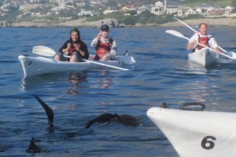 sea-kayaking-dow 49335