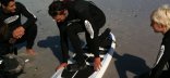 Sandboarding & Surfing Combo - Surf Lesson (Dow )