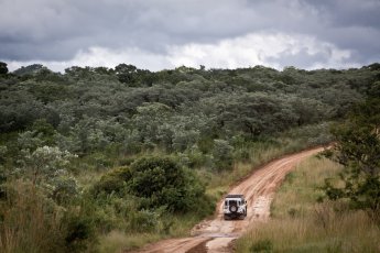 full-day-hluhluwe-game-reserve-ili 67064