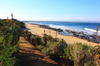 3-day-cape-to-addo-safari-tour-one-way-xtr 94167