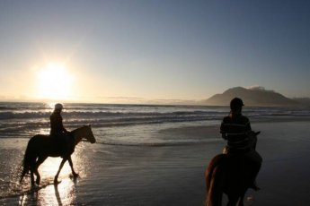 beach-horse-riding-cape-town-xtr 90570
