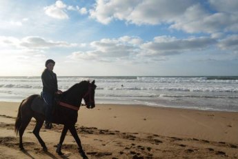 beach-horse-riding-cape-town-xtr 90571