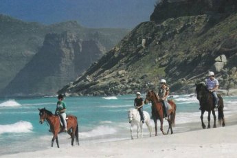 beach-horse-riding-cape-town-xtr 90572
