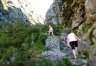 Table Mountain Skeleton Gorge Hike (Xtr)