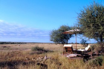 makanyane-safari-lodge 93957