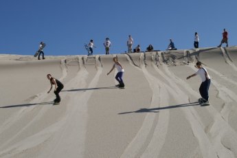 sandboarding-wine-tasting-combo-dow 49523