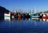 Tintswalo Atlantic