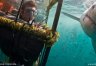 Private Shark Cage Diving (ili)