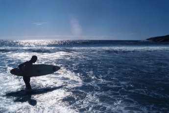 surf-school-dow 49315