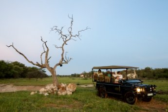 jamala-madikwe-royal-safari-lodge 21201