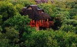 Makweti Safari Lodge