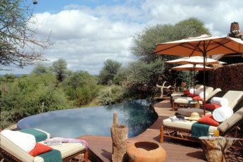 makanyane-safari-lodge 93968