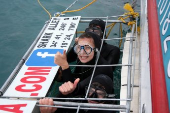 full-day-great-white-shark-cage-diving 19030