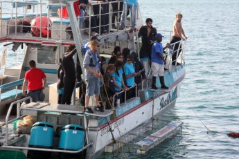 full-day-great-white-shark-cage-diving 19031