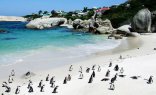 Full Day Peninsula Tour