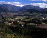 Winelands Extravaganza Tour - Winelands Extravaganza Tour