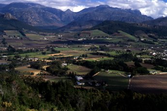 winelands-extravaganza-tour 19081