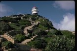 Scheduled Day Tours - Full Day Cape Point & Peninsula Tour -  IL-CTC  (I)