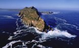 Fixed wing scenic flights around Cape Point, Cape Agulhas and beyond