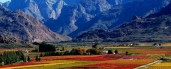 Winelands Full Day Tour