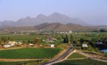 ‘Go green’ Full Day Breede River Valley Winelands Tour