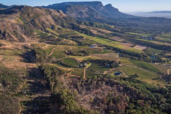 winelands-lunch 79953