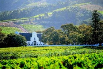 half-day-cape-winelands-tour-ili 73637