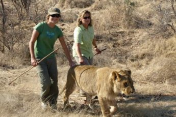 2-day-weekend-wildlife-safari-tour-xtr 49155