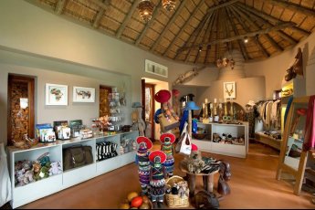 madikwe-safari-lodge 93935