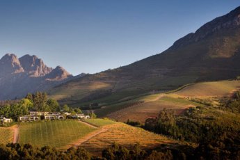 winelands-lunch 79959