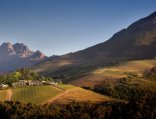 Stellenbosch Wine Region - Winelands Tour - Cape Town Helicopters