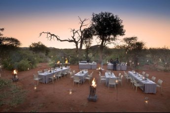 madikwe-safari-lodge 93938