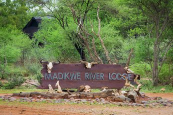 madikwe-river-lodge 93457