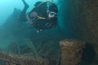 snorkeling-with-seals-dow 49344