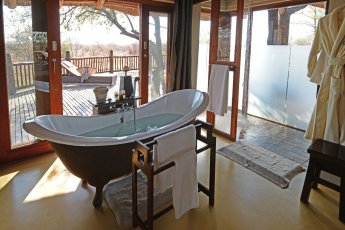 etali-safari-lodge 92980