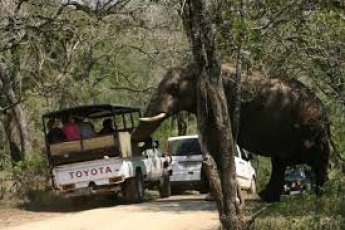 full-day-hluhluwe-game-reserve-ili 48549