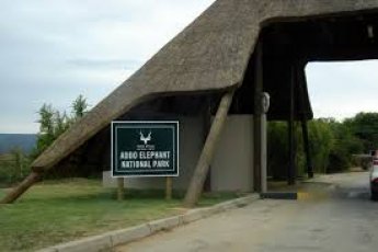 full-day-addo-elephant-national-park-ili 48895