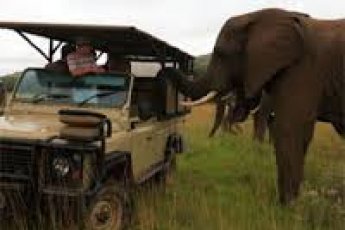 full-day-addo-elephant-national-park-ili 48896