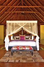 Tented Suite - Jaci’s Safari Lodge