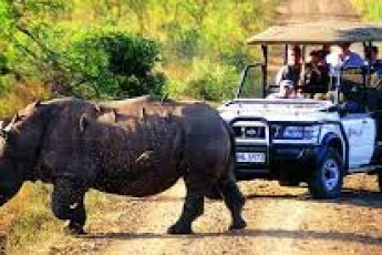 full-day-hluhluwe-game-reserve-ili 48547